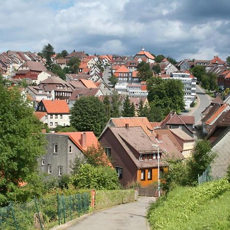 Ferienwohnung Wiesenblick Mit Terrasse Im Landhaus Fischer ザンクト・アンドレーアスベルク エクステリア 写真