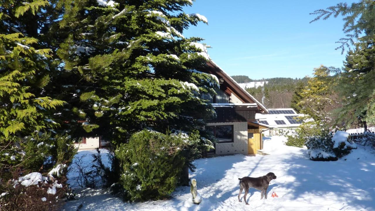 Ferienwohnung Wiesenblick Mit Terrasse Im Landhaus Fischer ザンクト・アンドレーアスベルク エクステリア 写真