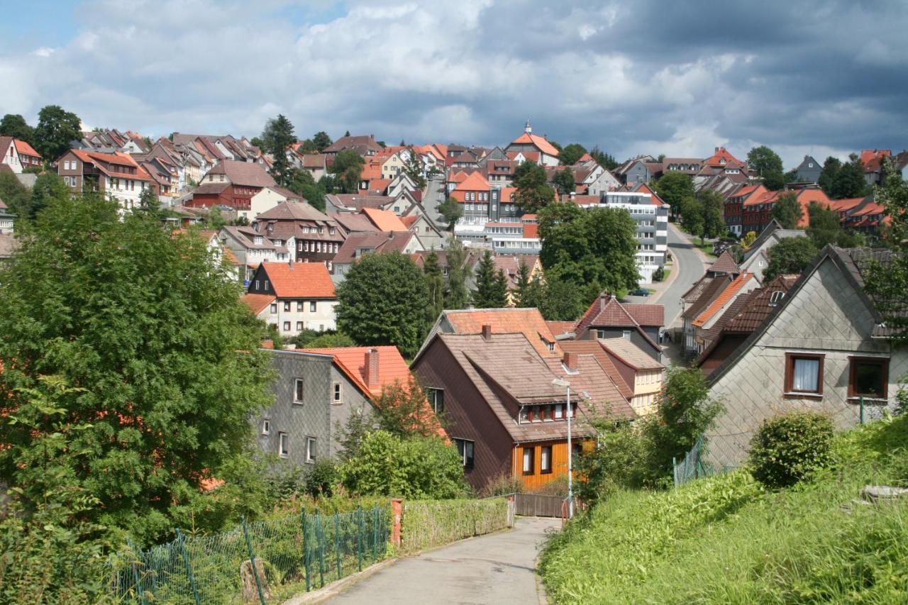 Ferienwohnung Wiesenblick Mit Terrasse Im Landhaus Fischer ザンクト・アンドレーアスベルク エクステリア 写真